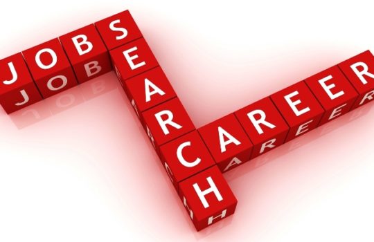 Loker kabupaten bangka selatan