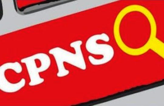 Kelulusan SKD CPNS Kemensos 2017 Online Di cpns.kemsos.go.id