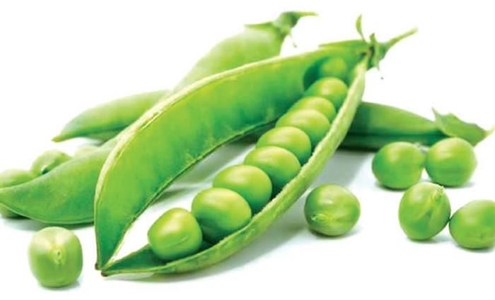 √ 10 Manfaat Luar Biasa Kacang Polong Untuk Kesehatan