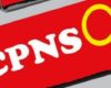 Pengumuman SKD CPNS BIN 2017 Online www.bin.go.id