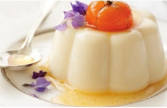 Resep Puding Susu Lezat dan Nikmat