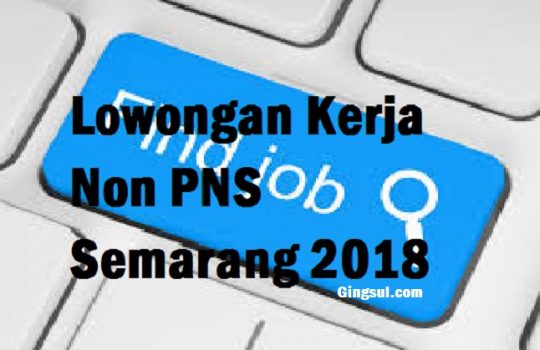 Lowongan Kerja Non PNS Semarang 2018, Karyawan Kontrak Bukan ASN Saat Ini Dibuka