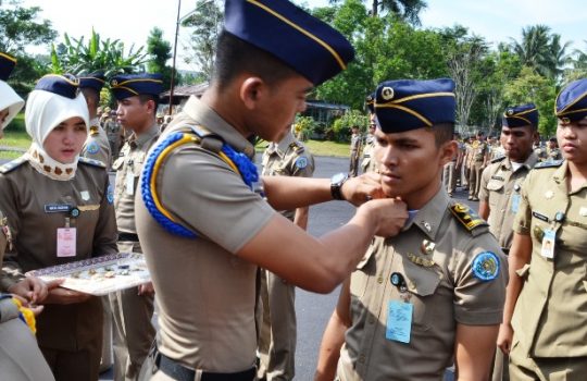 Pendaftaran IPDN 2018 Online Seleksi Sekolah Kedinasan Kementerian Dalam Negeri sscndikdin.bkn.go.id