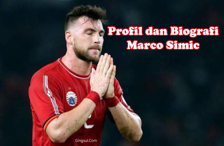 ️ Profil dan Biografi Marco Simic, Top Scorer Liga 1 2019 Macam ...