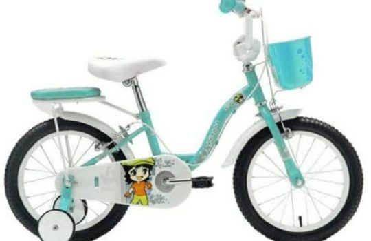 Daftar Harga Sepeda Anak Perempuan Ring 12 Picture