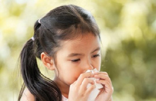 7 Tips Mengatasi Hidung Tersumbat, Cara Cepat Melegakan Pernafasan