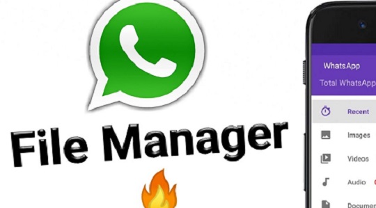 Kenapa Foto yang Dikirim Melalui WhatsApp Tidak Tersimpan di Galeri