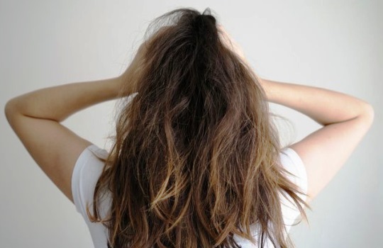 Tips Memilih Shampo untuk Rambut Kering dan Mengembang yang Perlu Diketahui